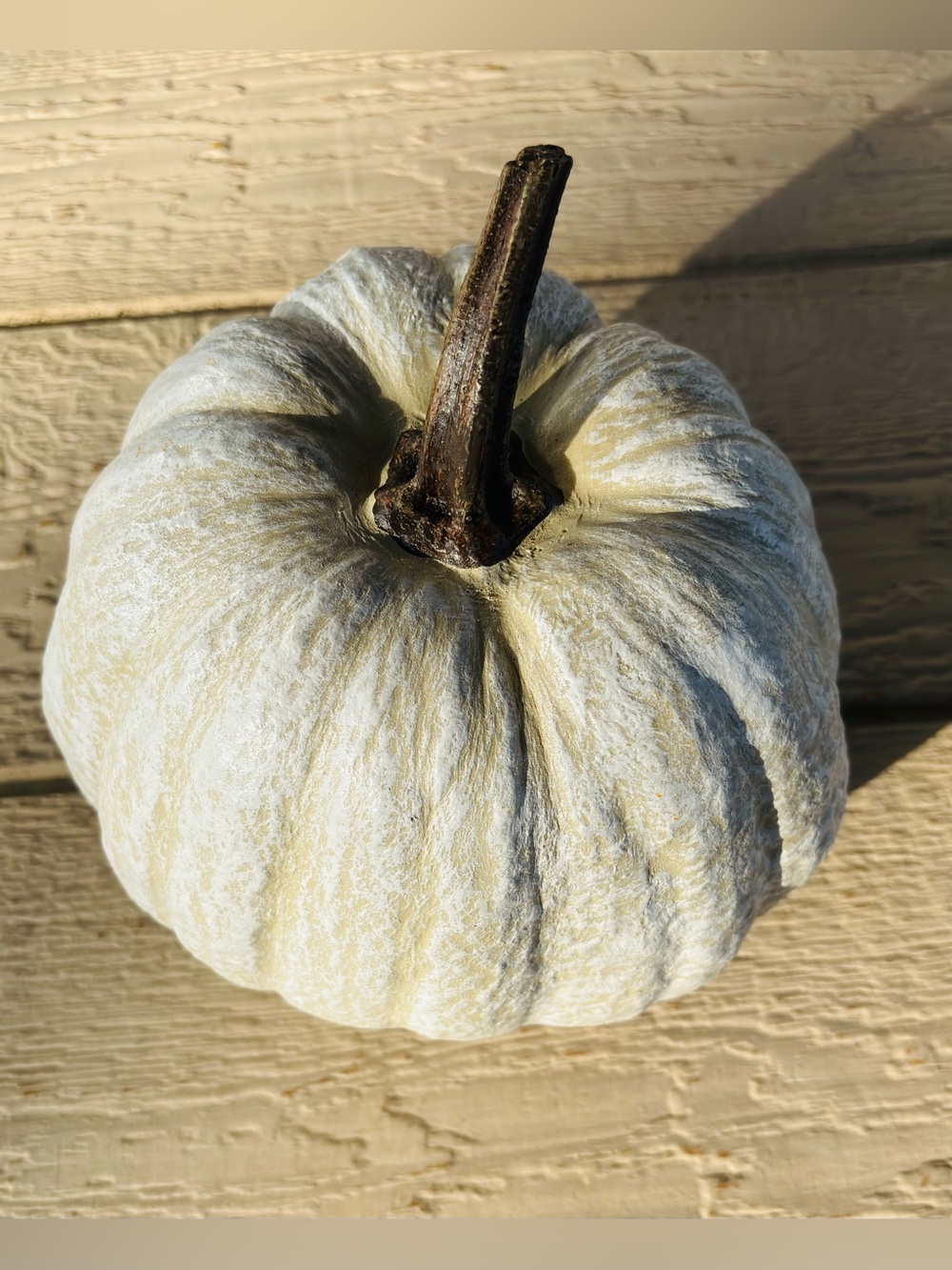 Textured  Pumpkin - Picture 2 of 5